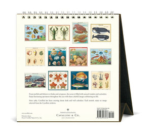 Cavallini & Co - Sea Life - 2027 Desk Calendar