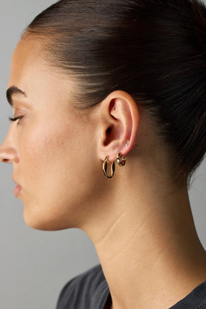 Zafino Australia Rose Essential Earrings - Gold