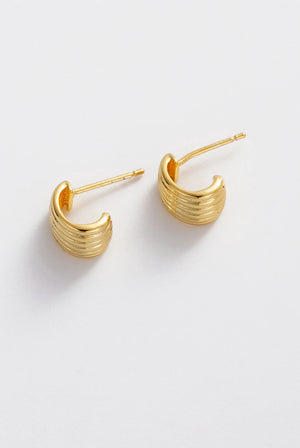 ZAFINO Sasha Hoop - Small - Gold
