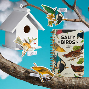 Brass Monkey Salty Birds Sticker Book titled 'Salty Birds' with colorful bird illustrations
