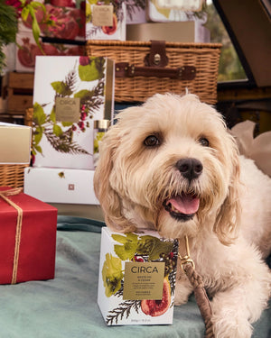 Circa Christmas Candle 300g White Fig & Cedar