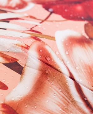 Kelly Thompson x Blunt - Classic