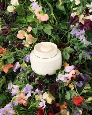 ECOYA Soy Wax Melts - Sweet Pea & Jasmine