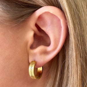 Step Back Hoop Earrings - Ever Jewellery