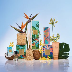 Glasshouse GF 380g Candle - Lagoon Afternoon -2026 limited edition Tropical-themed product with coconut, leaves, and a decorative box