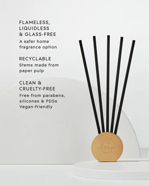 Scent Scene Stems