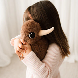 Cuddly Kuwi The Kiwi Soft Toy Kiwi