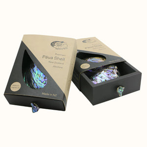 Ocean Shell Studio Premium Paua Shell Gift Box