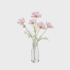 Rogue Cosmos in Milk Bottle Pink Clear glass vase with pink flowers