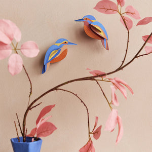 STUDIO ROOF Wall Art Garden Birds (B6) Kingfishers