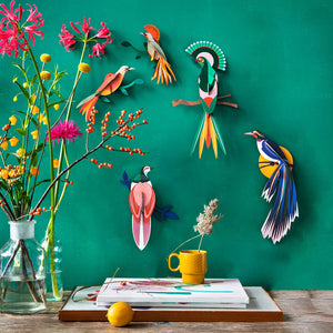 STUDIO ROOF Wall Art Paradise Birds (B5) Gili