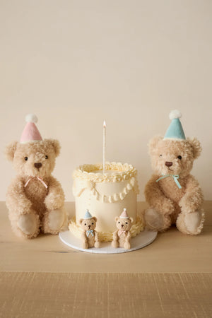 Jamie Kay Snuggle Bunnies - Birthday Arthur - Fairy