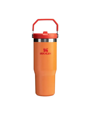 Stanley IceFlow Flip Straw Tumbler 30oz