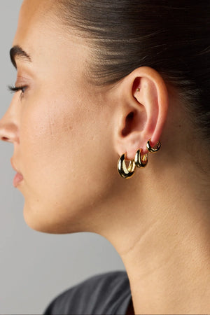 Zafino Australia Steph Hoop Essential Earrings Medium - Gold
