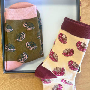 Ali Davies Socks - Pohutukawa - Boxed Set