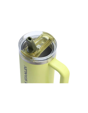 STANELY The Desert Heritage Quencher ProTour Flip Straw Tumbler 30oz - Prickly Pear