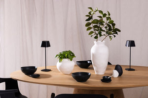 Venus Vase Ned Collections