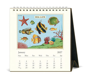 Cavallini & Co - Sea Life - 2027 Desk Calendar