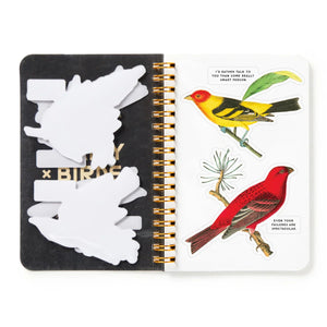 Brass Monkey Salty Birds Sticker Book titled 'Salty Birds' with colorful bird illustrations