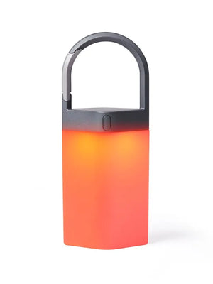 LEXON Metallic Grey Outdoor Portable lamp Horizon Hanglamp Gun