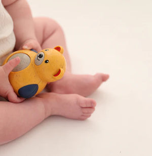 TOLO Roly Poly Teddy Bear Bio Range Kids Toy