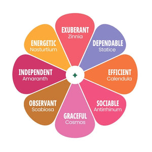 A circular flower-style graphic with eight colored petal shapes arranged around a white center, each labeled with a personality trait and plant name such as Exuberant Zinnia, Dependable Statice, Efficient Calendula, Graceful Cosmos, Sociable Antirrhinum, Observant Scabiosa, Independent Amaranth, and Energetic Nasturtium.