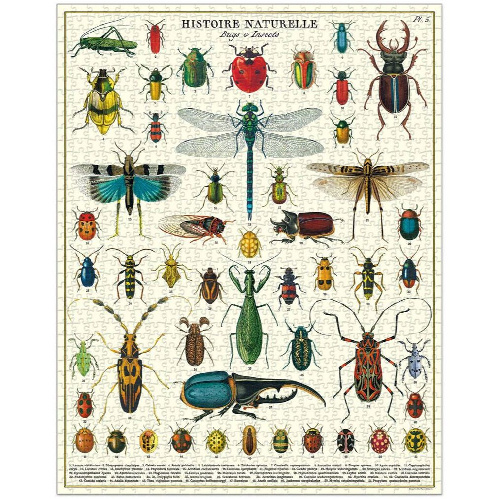 Bugs & Insects Vintage Puzzle - Cavallini