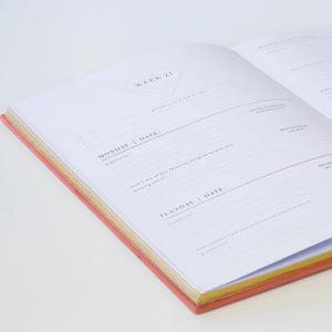 The Joy Journal - Blush