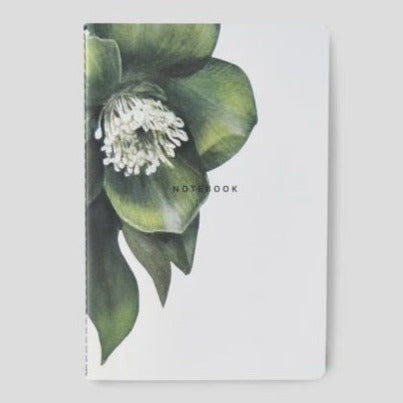 Father Rabbit Softcover Notebook Hellebore - Best Abroad