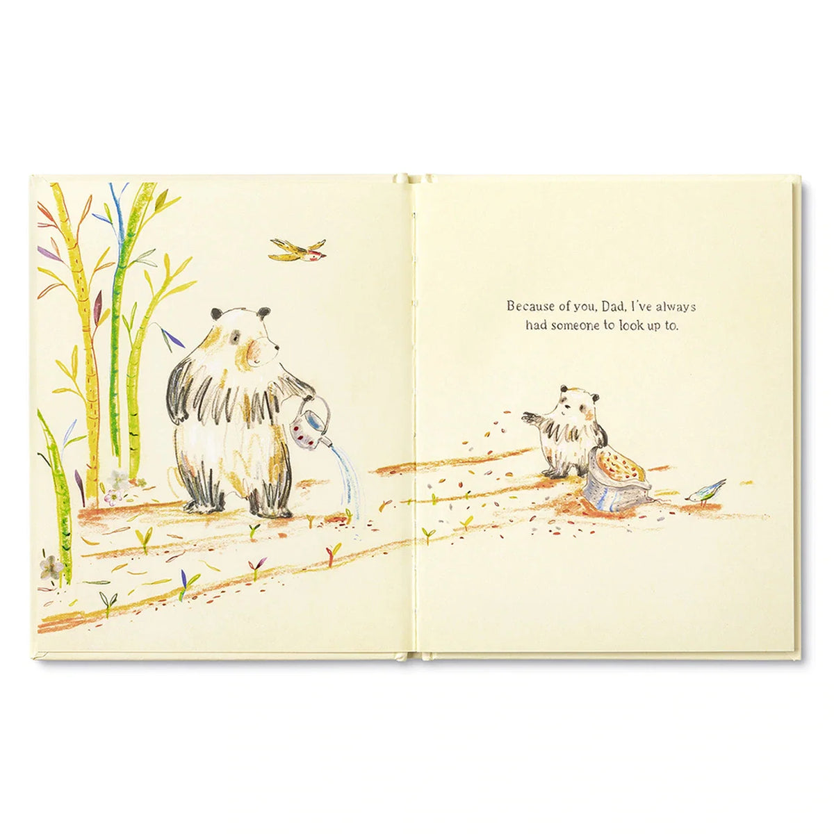 Father's Day Gift Book - Because of You, Dad