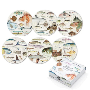 100% NZ Fishes of NZ Coasters set of 6
