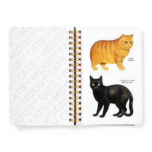 Brass Monkey Moody Cats Sticker Book Sticker book cover with cats and 'Moody Cats' 