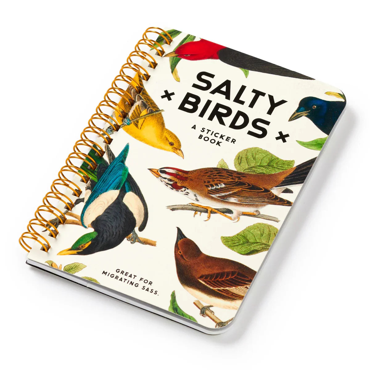 Brass Monkey Salty Birds Sticker Book  titled 'Salty Birds' with colorful bird illustrations