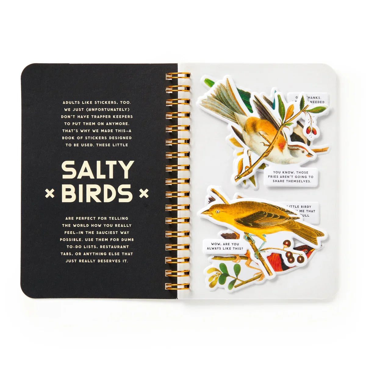 Brass Monkey Salty Birds Sticker Book  titled 'Salty Birds' with colorful bird illustrations