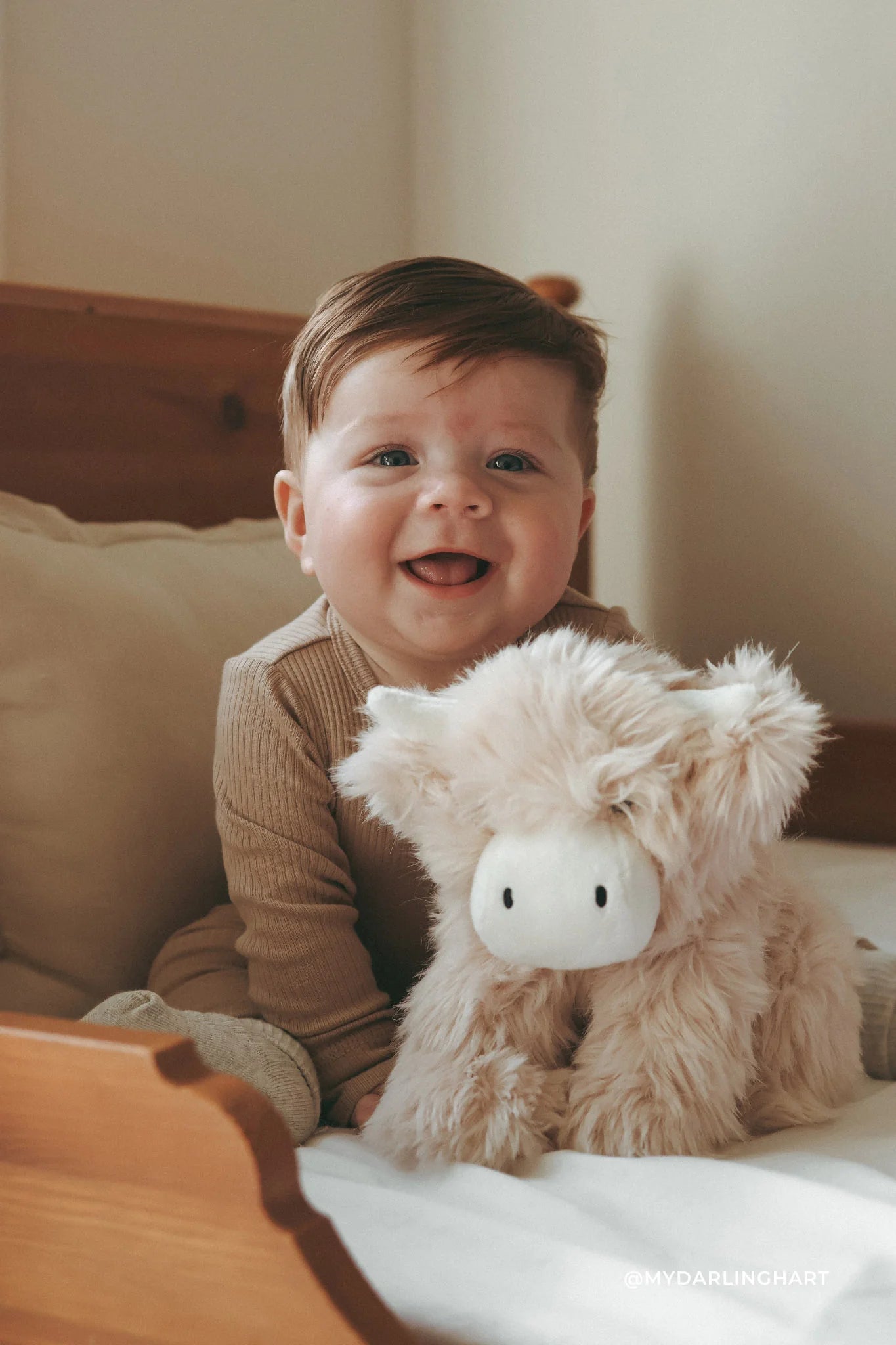 Jamie Kay Snuggle Bunnies - Hilda The Highland Cow