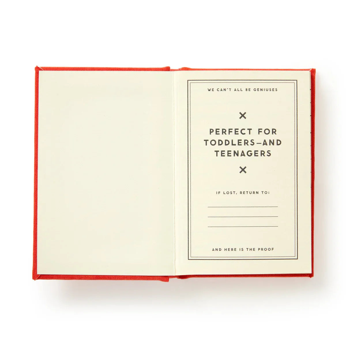 Brass Monkey Dumb Things My Kid Said Tiny Diary