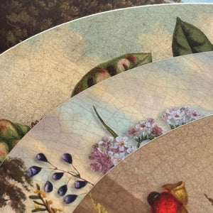 Tanya Wolfkamp Oval Placemat set of 4 - Vintage Birds