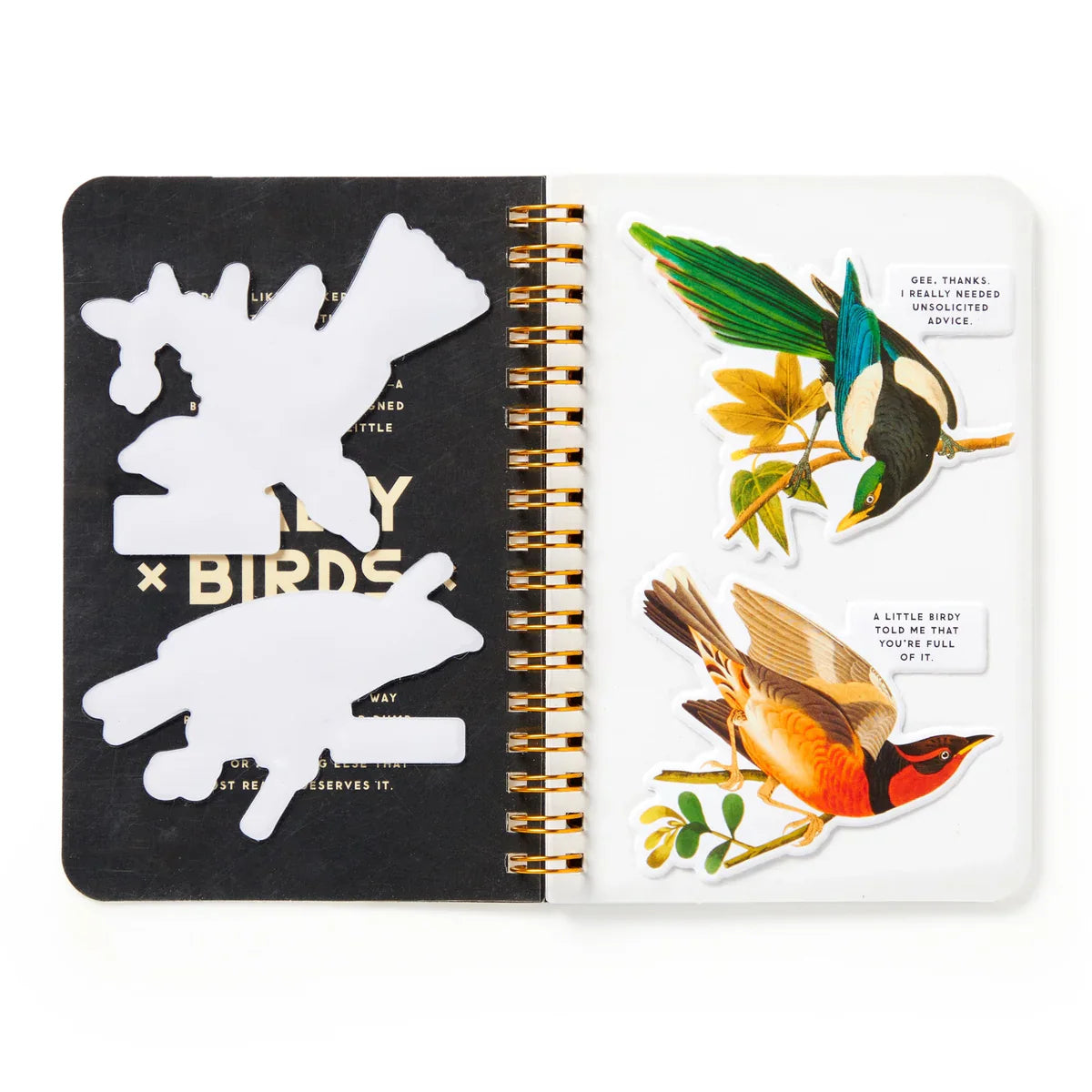 Brass Monkey Salty Birds Sticker Book  titled 'Salty Birds' with colorful bird illustrations