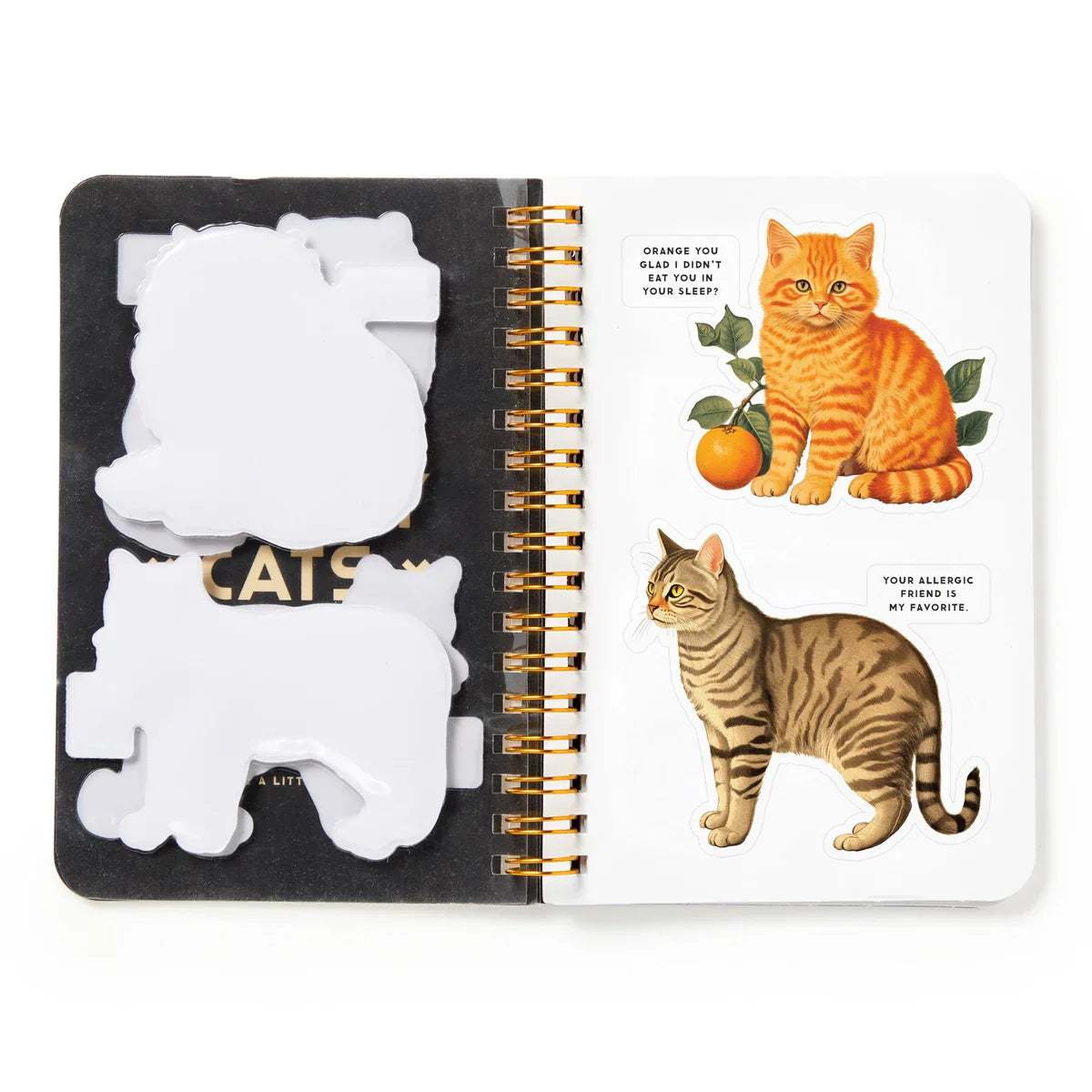 Brass Monkey Moody Cats Sticker Book Sticker book cover with cats and 'Moody Cats' 