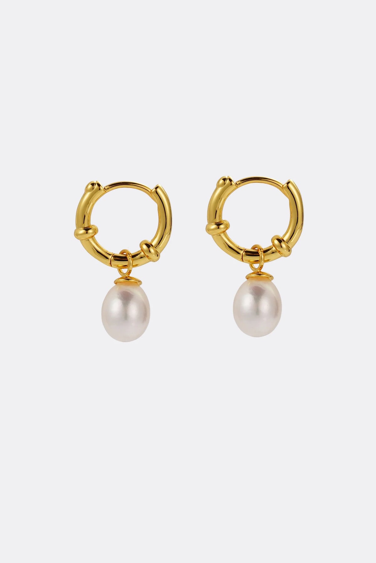 ZAFINO 7788 Tessa Pearl Hoop - Gold