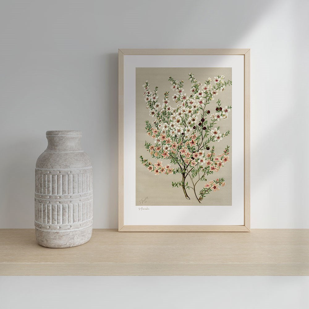 100% NZ Botanical Illustration Manuka A3 Print