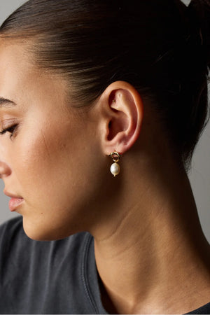 ZAFINO Alice Pearl Earrings - Gold 5396