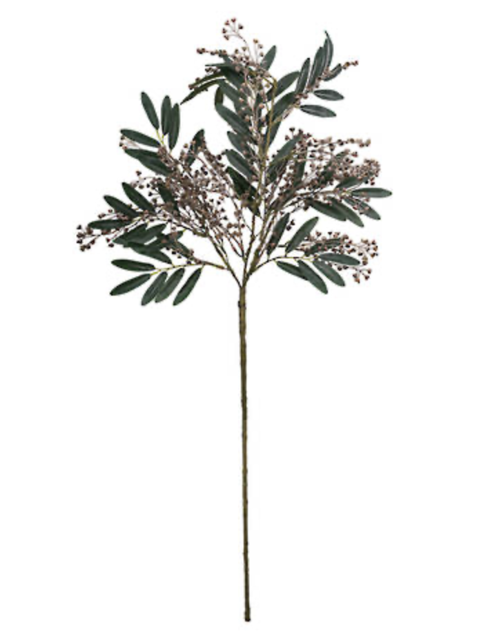 Angrophora Gum Branch 93cm