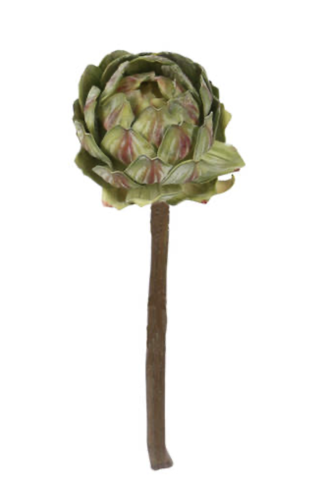 Artichoke - Green