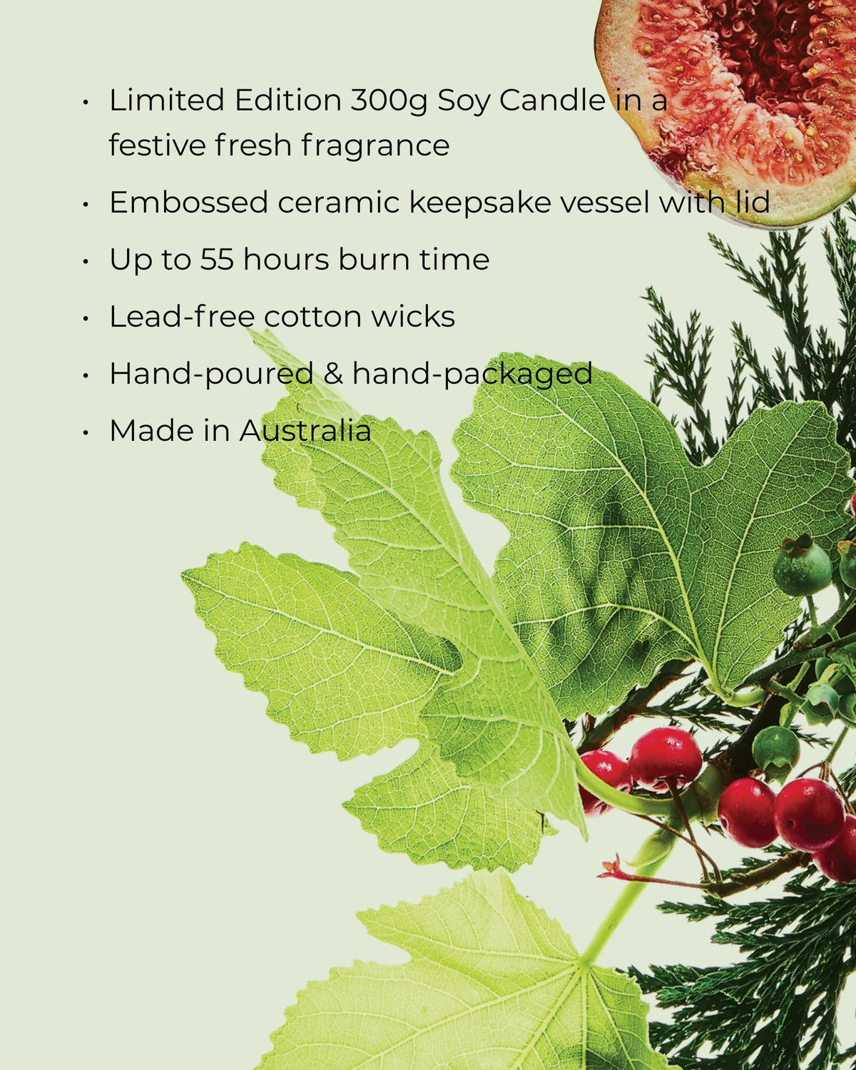 CIRCA 300g Candle - Christmas - WHITE FIG & CEDAR - X26