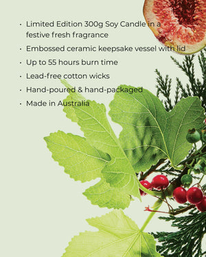 CIRCA 300g Candle - Christmas - WHITE FIG & CEDAR - X26