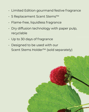 CIRCA Christmas Replacement Scent Stems™ Refill - RASPBERRY & RHUBARB