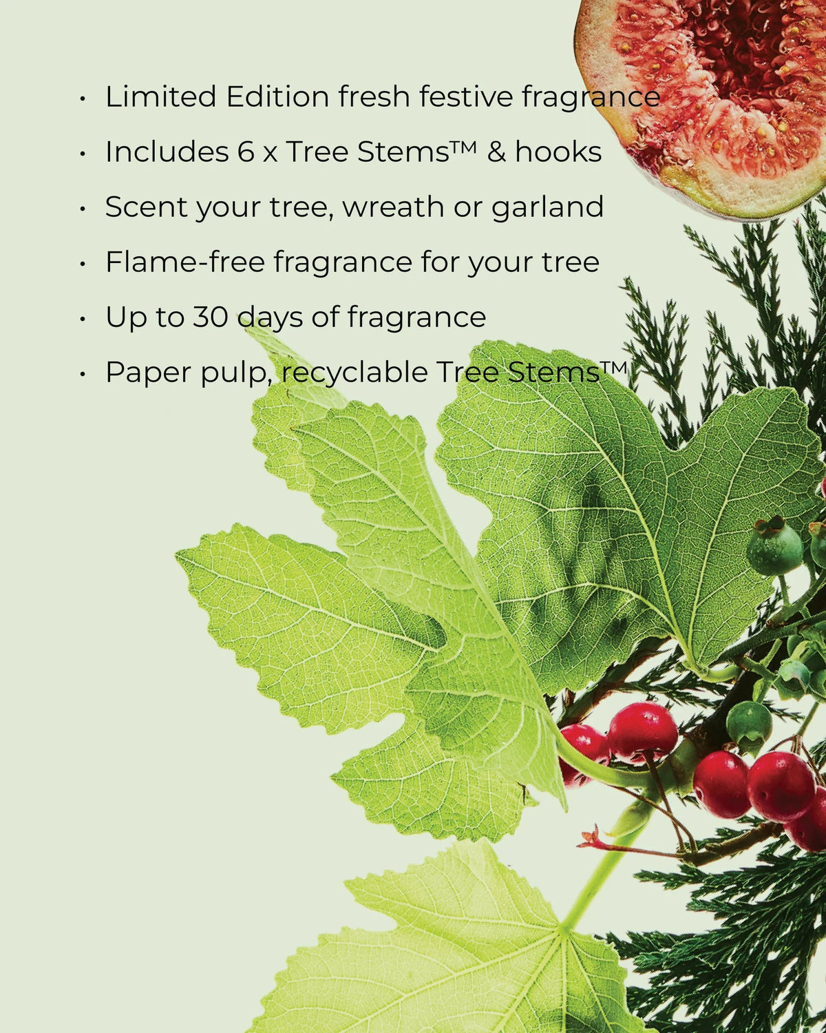 CIRCA Christmas Tree Scent Stems™ - WHITE FIG & CEDAR