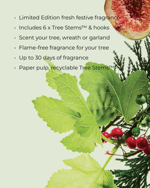 CIRCA Christmas Tree Scent Stems™ - WHITE FIG & CEDAR