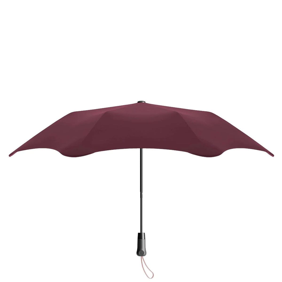 Blunt Metro x Frank Green Bottle - Plum & Petal Gift Set